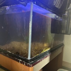 海水水槽の画像