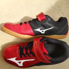 ⭐未使用⭐  MIZUNO シューズ ２２cmの画像