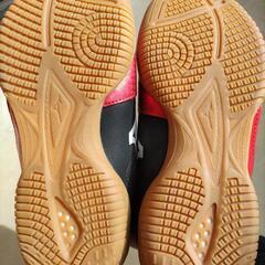 ⭐未使用⭐  MIZUNO シューズ ２２cmの画像