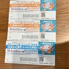 めがひらスキー場リフト券 1,000円OFF【2枚】 500円O...