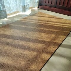 長野県佐久市 玄関に コルクタイル8枚 サンゲツ土足対応の画像