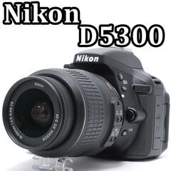 ⭐️WiFi機能搭載⭐️Nikon D5300⭐️2416万画素⭐️高画質⭐️画面