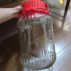 瓶　梅ジュース　梅酒　キャニスターの画像