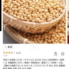 令和4年度産  大豆 オオツル 白大豆 20.5kg
