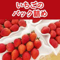＼日払い・1日OK！／初心者歓迎！いちごのパック詰め
