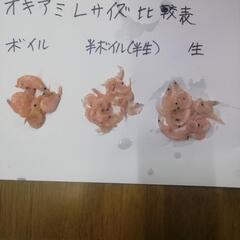 オキアミ 半ボイル 常温保存 6ヶ月 700g  L サイズの画像