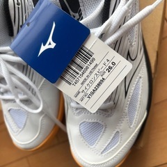 新品　MIZUNO バレーシューズの画像