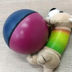 0306-129 ペットおもちゃの画像