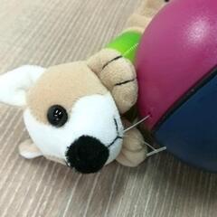 0306-129 ペットおもちゃの画像