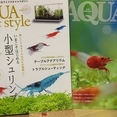 1冊500円〜　シュリンプ特集