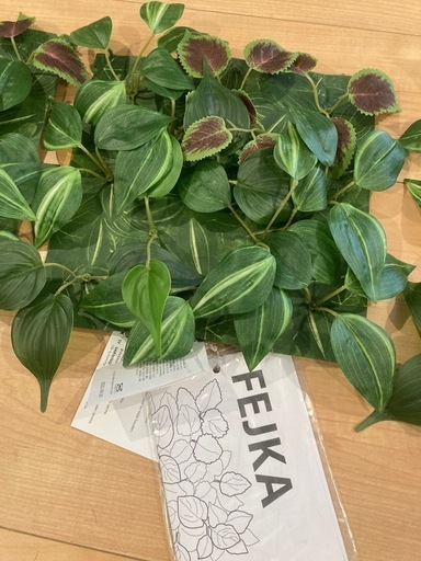 IKEA イケア　Fejka  ウォール　壁　 グリーン　観葉植物　インテリア