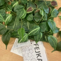 IKEA イケア　Fejka  ウォール　壁　 グリーン　観葉植...
