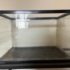 ４５センチ水槽