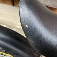 GALE 14インチ　　子供用自転車　幼児の画像