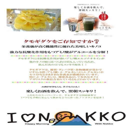 ノッコラン(90包入り)／二日酔い知らずの爽快な朝に！ ～楽しくお酒を飲ん