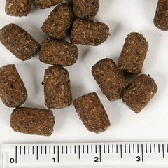 【お試しサイズ】マズリ　フェレットダイエット (モモンガにも是非！) Q-10-9-4の画像