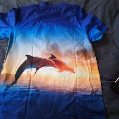 半袖Tシャツの画像