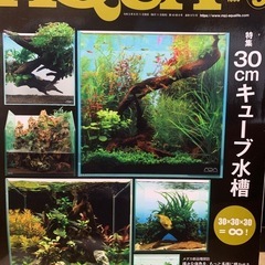 1冊500円〜　アクアライフまとめ売り