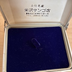 サンゴのネックレスの画像