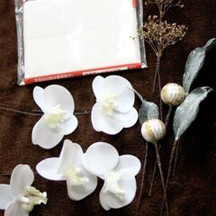 胡蝶蘭＋かすみ草の髪飾り ホワイト 白＊結婚式＊成人式＊卒業式 ヘッドドレスの画像