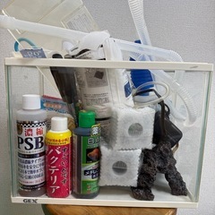 【商談中】水槽  飼育セット 金魚など アクアリウム 