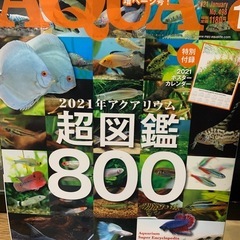 1冊500円〜　アクアリウム大図鑑
