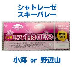  シャトレーゼスキー場共通リフト1日券