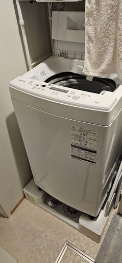2019 TOSHIBA 洗濯機