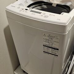 2019 TOSHIBA 洗濯機