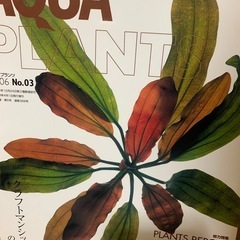1冊500円〜　アクアプランツまとめ売り