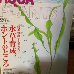 1冊500円〜　アクアプランツまとめ売り