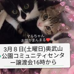 マルちゃんトライアル中です