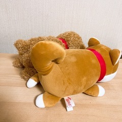 まめしば＆トイプードルぬいぐるみセットの画像