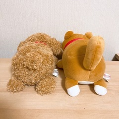 まめしば＆トイプードルぬいぐるみセットの画像