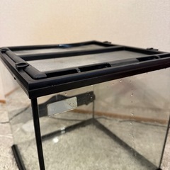 グラステラリウム3030の画像