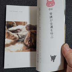 『本』ニャンでもやればできる 深見東州の画像