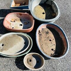 無料！盆栽鉢の画像