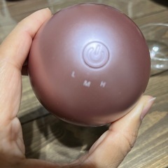 ヤーマン　美顔器の画像