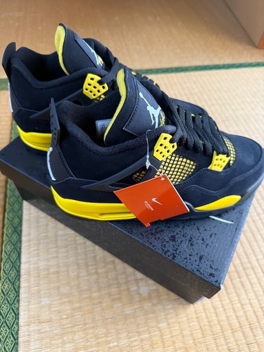 ジョーダン4  Thunder