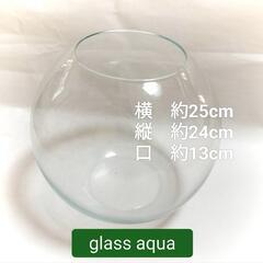 🌈nanashop【新品】グラスアクア スフィア 水草 多肉植物...