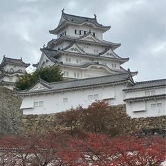 友達募集