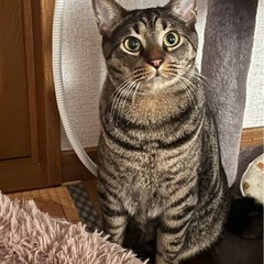仲良しあき、むぎ − 山口県