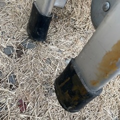 多機能はしごの画像