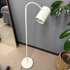 照明