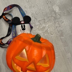 ディズニーランド　ポップコーンケース