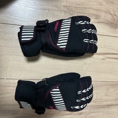 ウインターグローブ