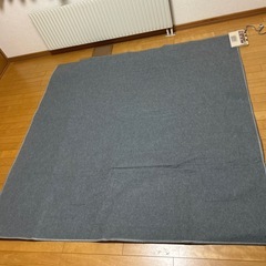 ホットカーペットの画像