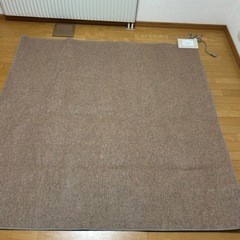 ホットカーペットの画像