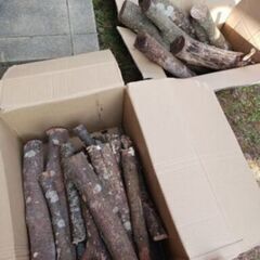 乾燥薪10kg　国産樫100%　丸太　薪ストーブ、キャンプ、焚き火に