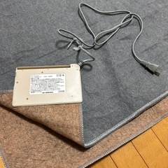 ホットカーペットの画像